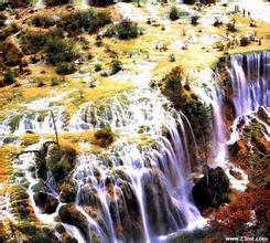 �齫�����ƿ�����Ƶ�����ڳ�Ʒ�ͼ۽�ӭ���۴��� �򴴽�����С����...